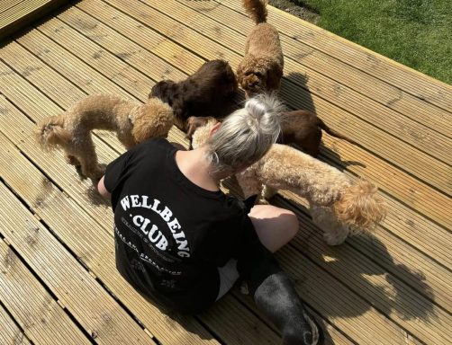 Person with short hair seated on a wooden deck surrounded by several small dogs.